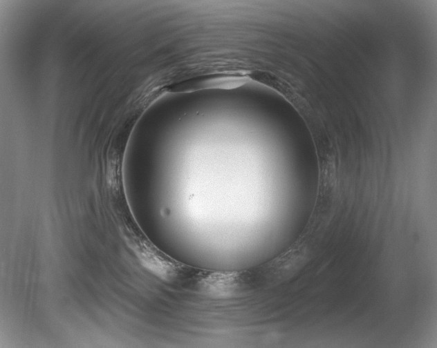 X0000080790138200612151504