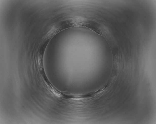 X0000080790139200612151504