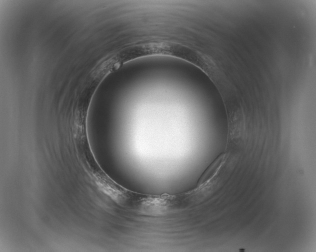X0000080790140200612151504