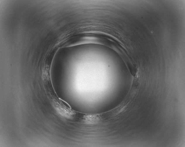 X0000080790141200612151504