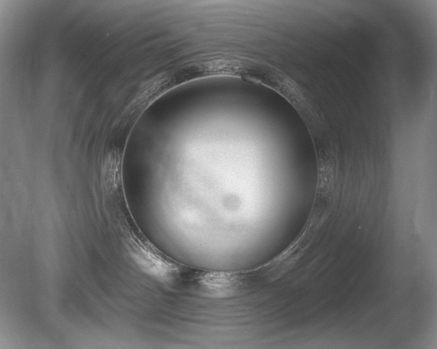 X0000080790142200612151504