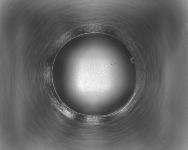 X0000080790144200612151504