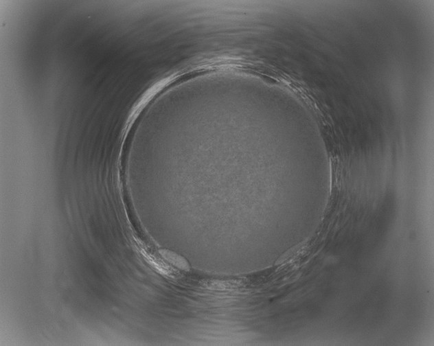 X0000080790147200612151504