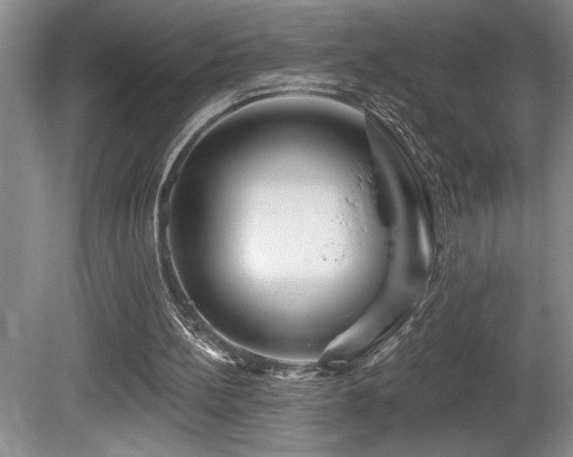 X0000080790148200612151504
