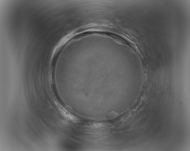 X0000080790149200612151504