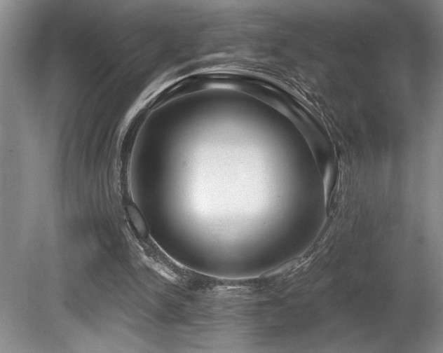 X0000080790150200612151504