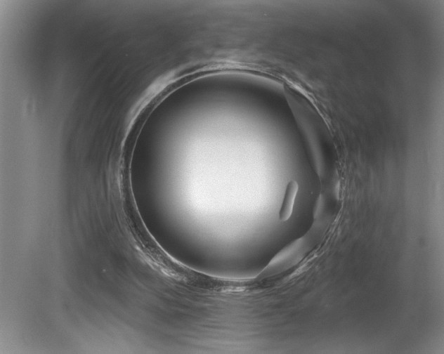 X0000080790152200612151504