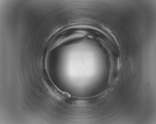 X0000080790154200612151504