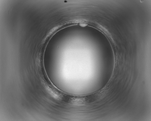 X0000080790155200612151504