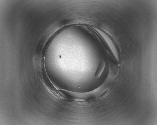 X0000080790156200612151504