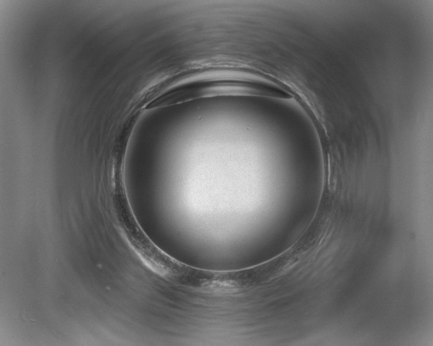 X0000080790157200612151504