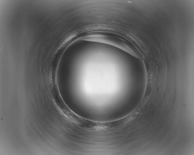X0000080790158200612151504