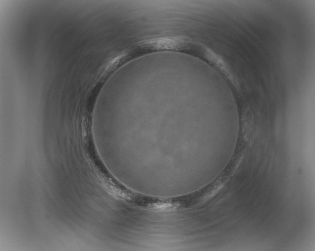 X0000080790161200612151504