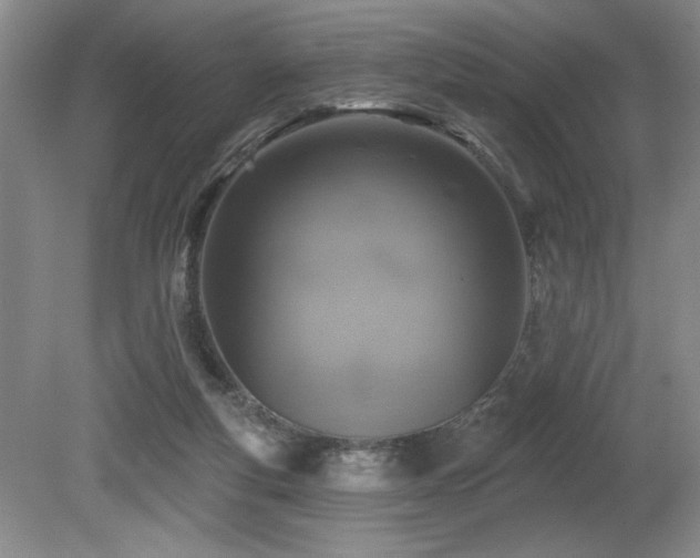 X0000080790163200612151504