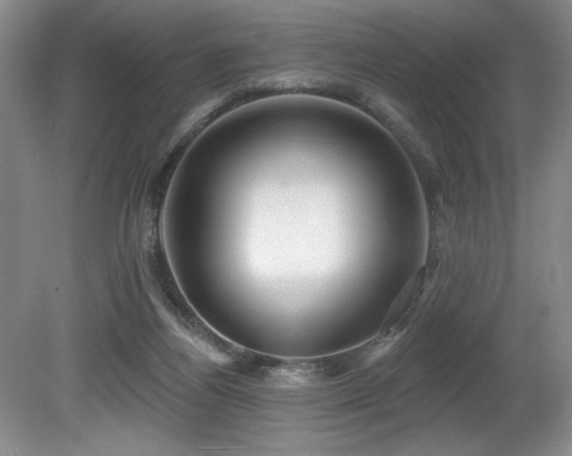 X0000080790164200612151504