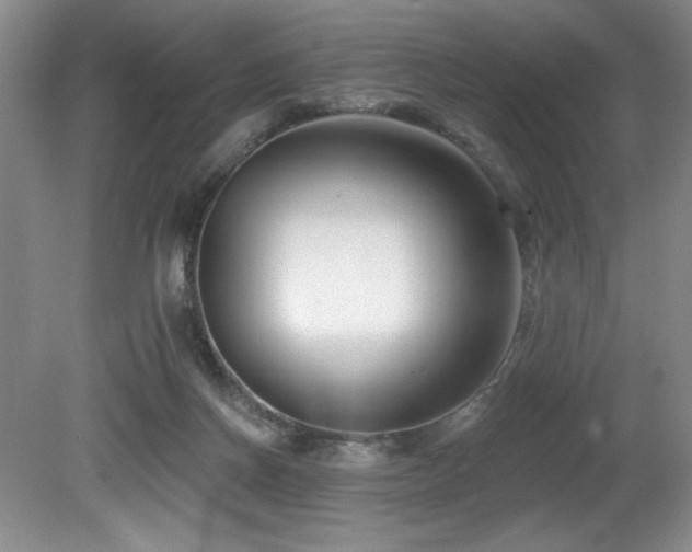 X0000080790166200612151504