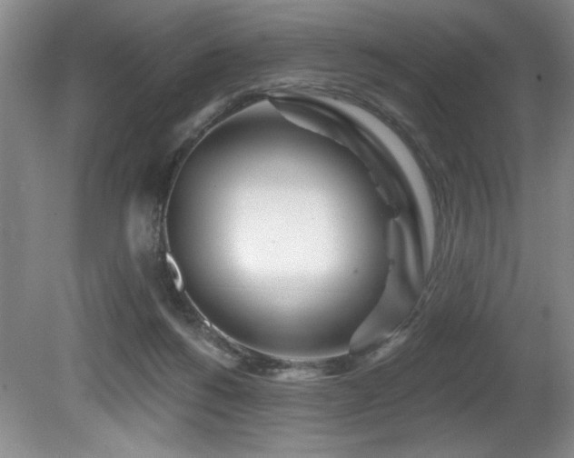 X0000080790168200612151504