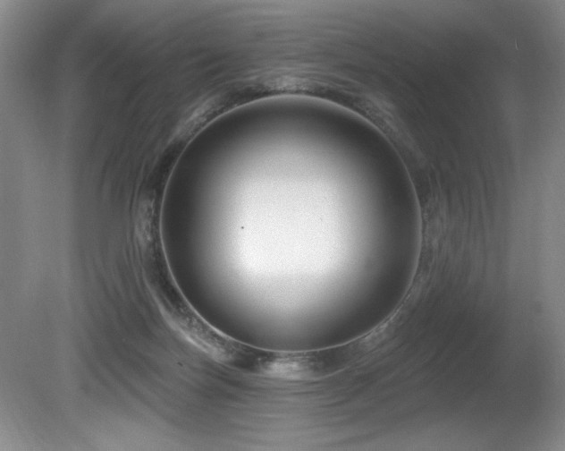 X0000080790171200612151504