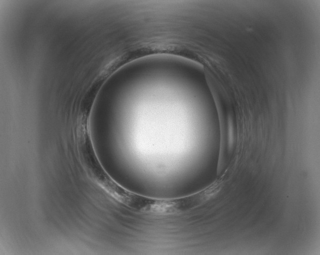 X0000080790172200612151504