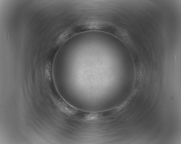 X0000080790175200612151504