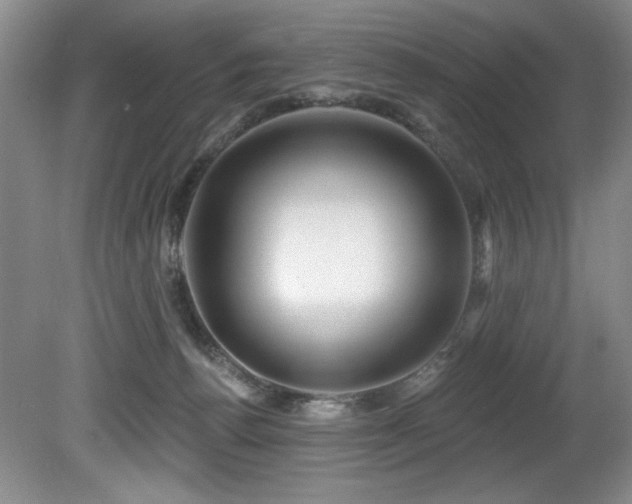 X0000080790176200612151504