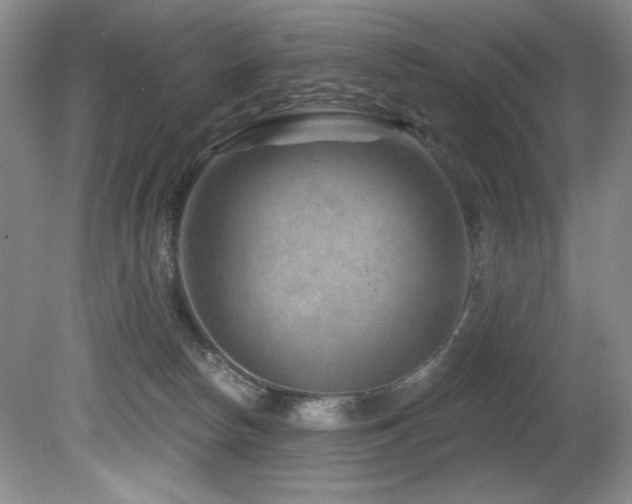 X0000080790178200612151504