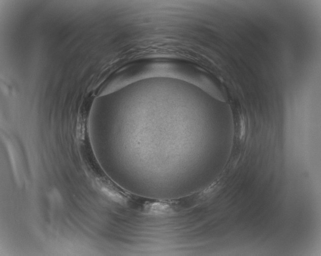 X0000080790180200612151504