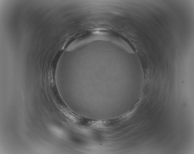 X0000080790182200612151504