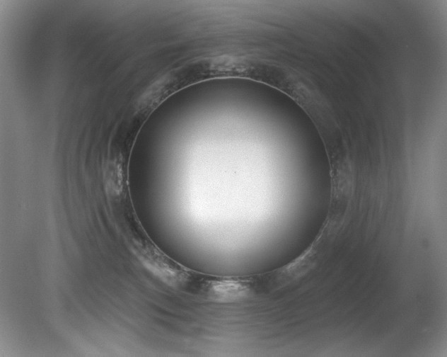 X0000080790183200612151504