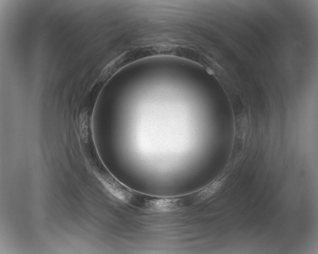 X0000080790184200612151504