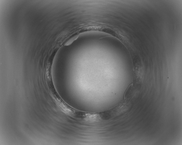 X0000080790185200612151504
