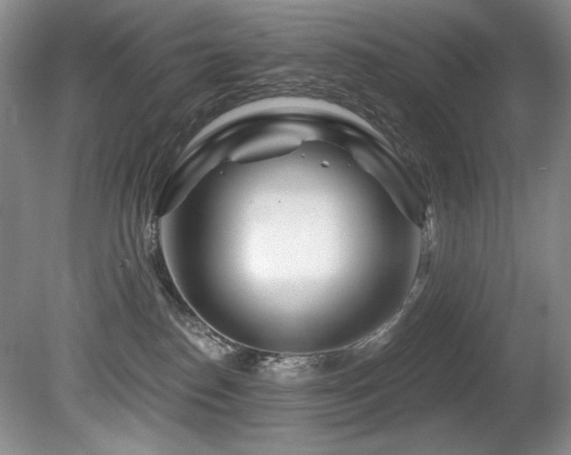 X0000080790186200612151504