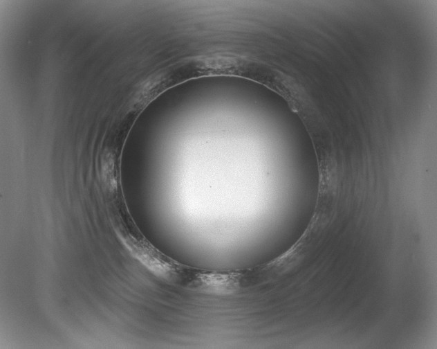 X0000080790187200612151504