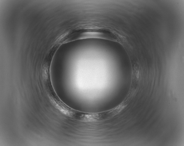X0000080790188200612151504
