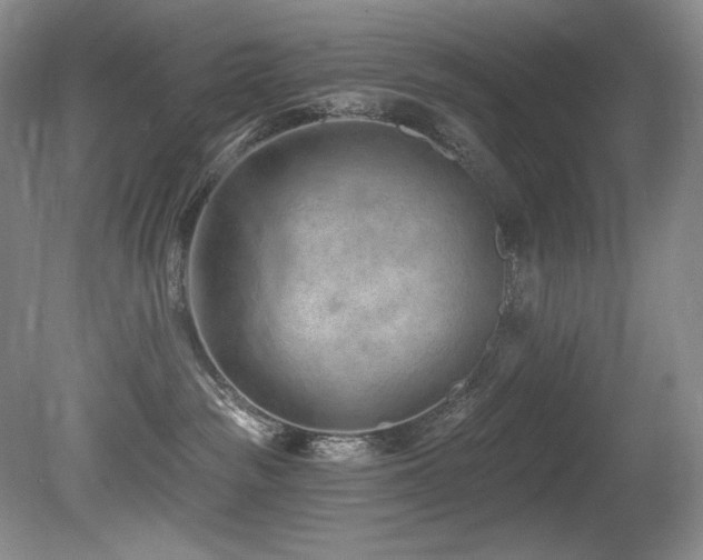 X0000080790189200612151504