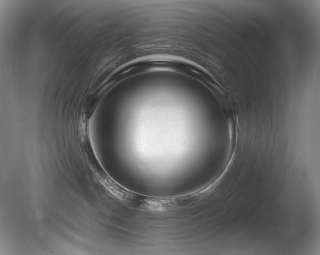X0000080790190200612151504