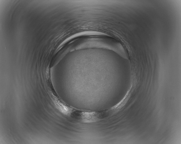 X0000080790192200612151504