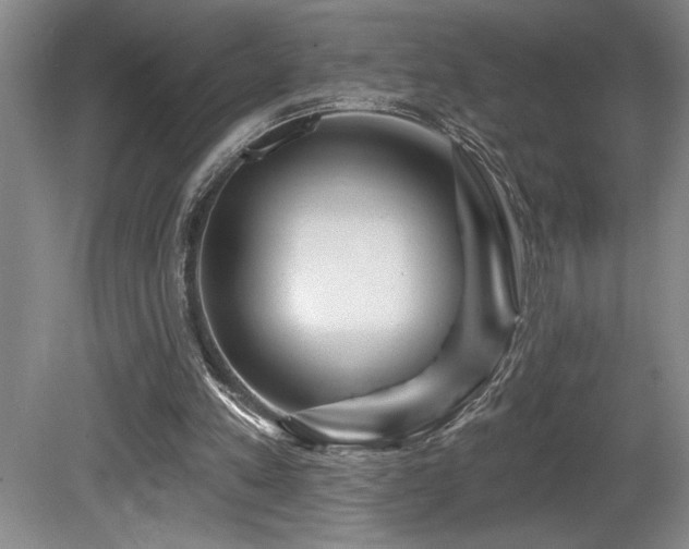 X0000080790197200612151503