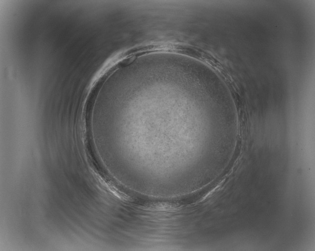 X0000080790198200612151503