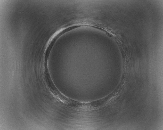 X0000080790200200612151503