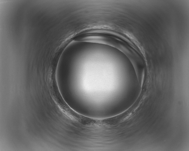 X0000080790201200612151503