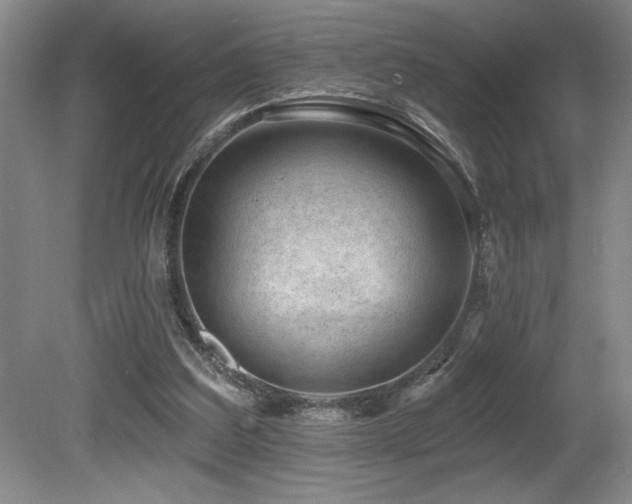 X0000080790203200612151503