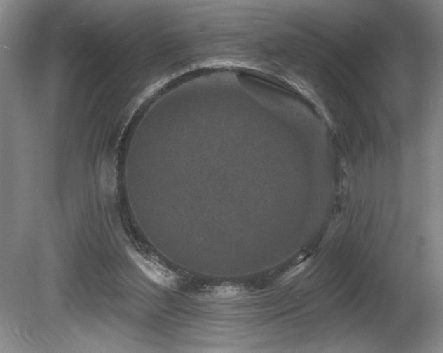 X0000080790204200612151503