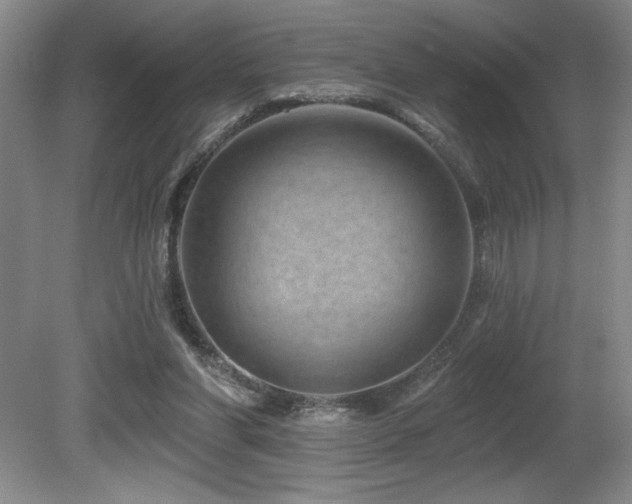 X0000080790206200612151503