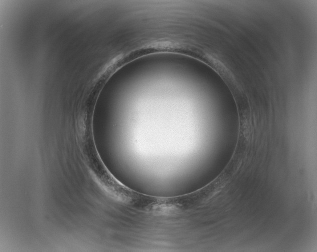 X0000080790208200612151503