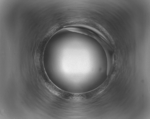 X0000080790209200612151503