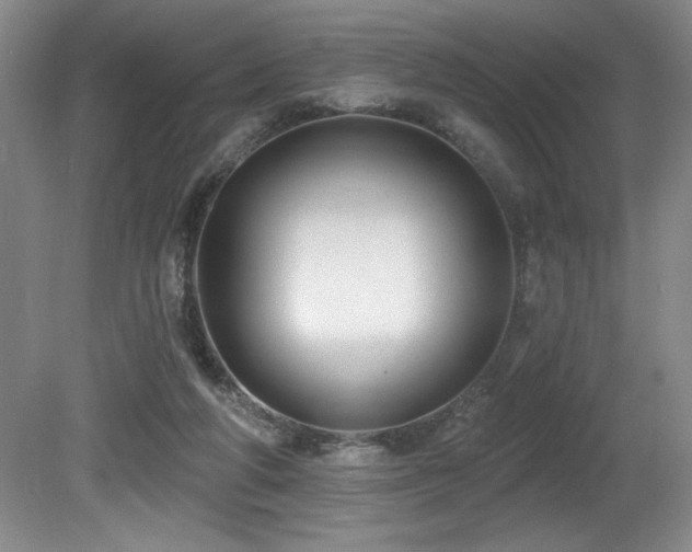 X0000080790210200612151503