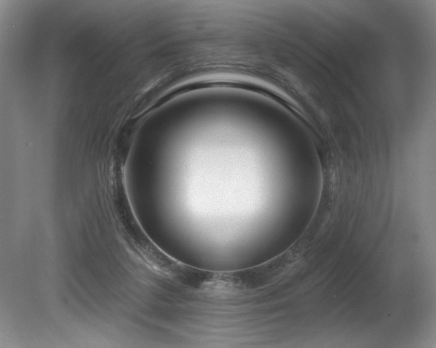 X0000080790211200612151503