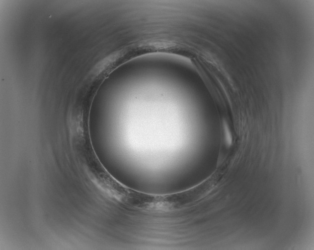 X0000080790212200612151503