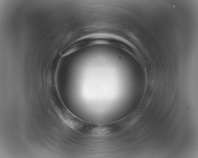 X0000080790213200612151503